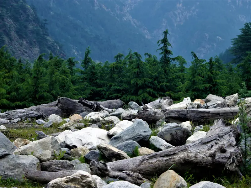 Harsil: A Beautiful Valley by the Bhagirathi River known as a hidden  Places in Uttarakhand