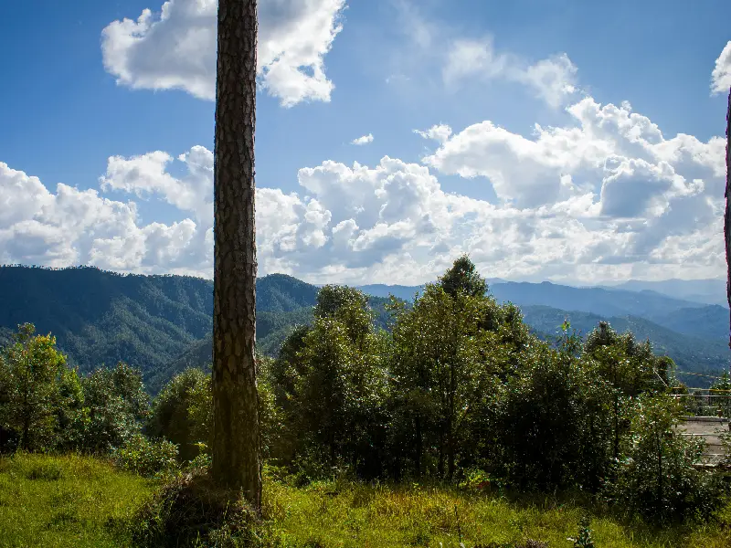 Binsar: A Place for Wildlife in the Kumaon Hills know as best hidden Places in Uttarakhand