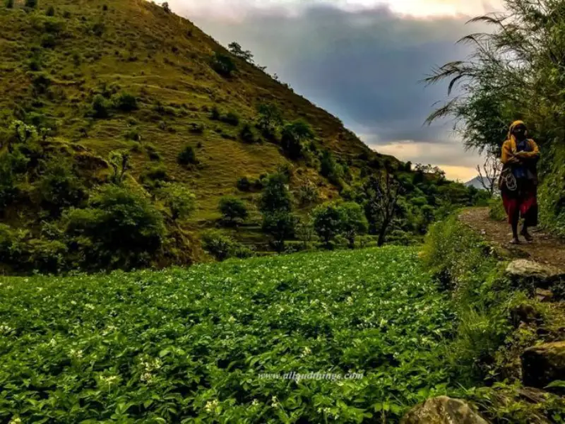 Chakrata best hidden place in utrakhand 