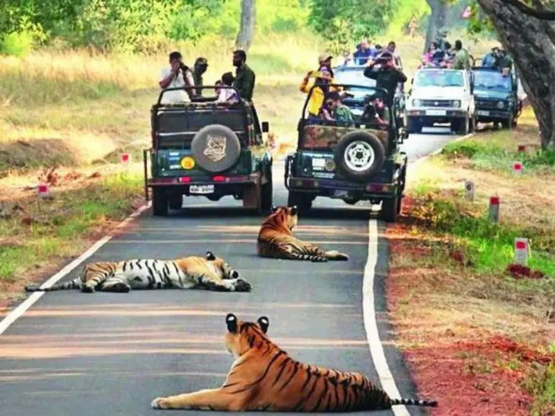 Jim Corbett National Park, Uttarakhand