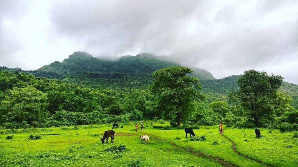 Tandulwadi Adventure